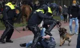 Confected emergencies and the new world order